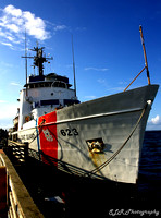 Coast Guard SLR